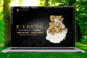 ���Ƹ۸������ﱦʯ